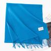 New Solid Color Maillard Imitation Cashmere Scarf for Women Autumn and Winter High End Warm Shawl Simple Scarf