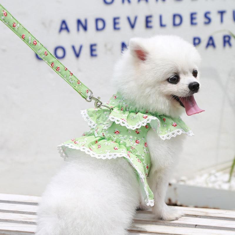 Adjustable Pet Harness With Leash Small Dogs Cats Teddy Bichon Fashion Floral Trim