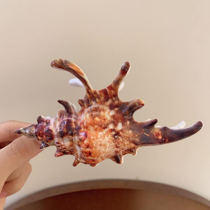 Acrylic Conch Hair Claws Korean Exaggerated Colorful Irregular Personality Large Hair Claw Women Girls Hair Accessories