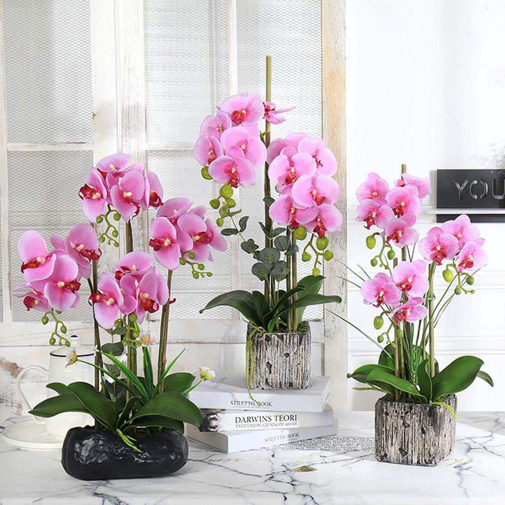 FagusHome 8 PCS Artificial Phalaenopsis Orchids Leaves 11 inches Green Faux Orchids Leaf (8 Pcs)