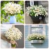 120heads Artificial Daisy Flowers Small Daisy Fake Flower Bouquet for Valentines Wedding Party Table Decoration DIY Home Decor