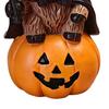Cute Cow Gifts 2Pcs Halloween Highland Witch Ornament, Resin Figurine with Hat Pumpkin Broom Broomstick Figurines & Skull, Farmhouse Tabletop