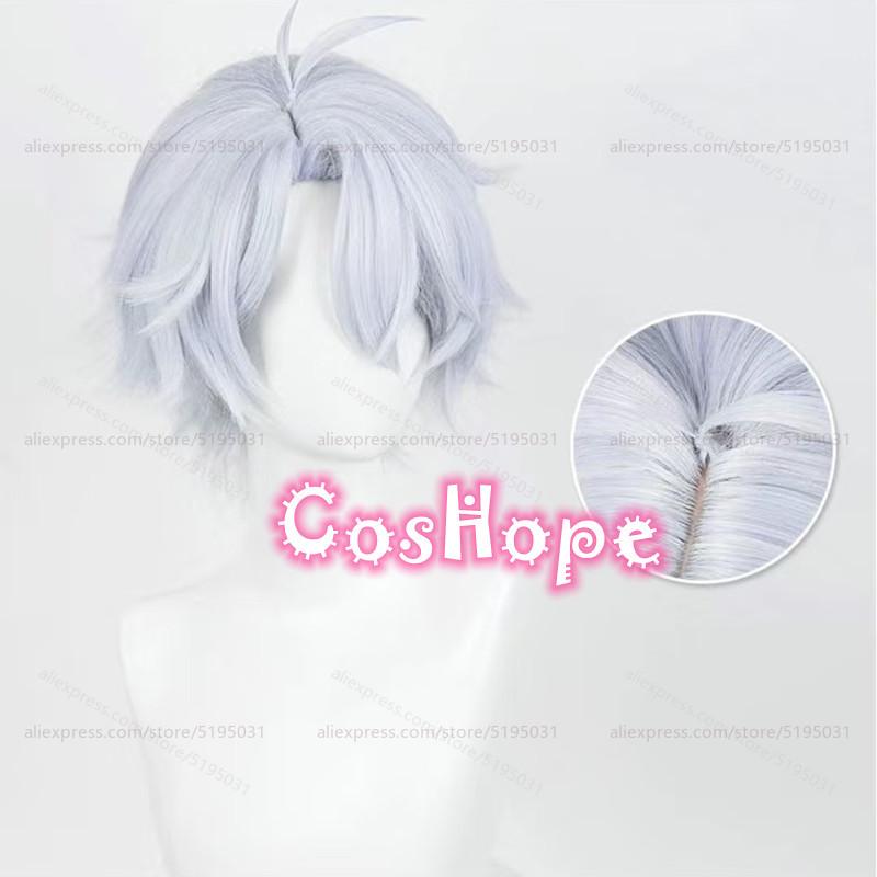 HSR Phainon Cosplay Wig 30cm Short Silver Light Blue Wig Cosplay Anime Cosplay Wig Heat Resistant Synthetic Wigs One Size