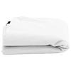 Plant Winter Protection Cover White 2.4 x 2 m Non Woven Fabric