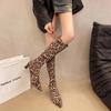 2025 New Winter Women Stretch Modern Boots Leopard Print Shoes Ladies Sexy High Heel Long Booties