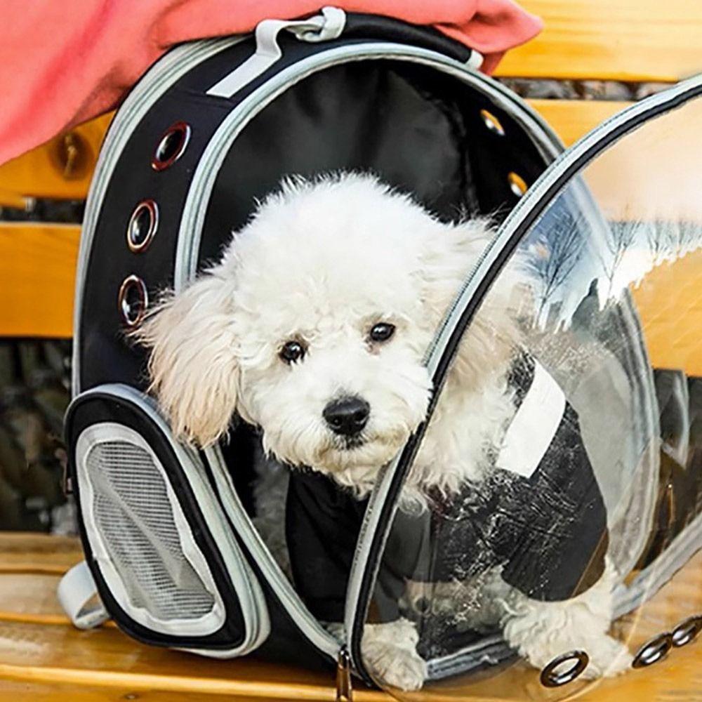 Breathable Pet Carrying Bag Clear Dome Cat Bag Comfortable Pet Cat Carrier  Pet Travel