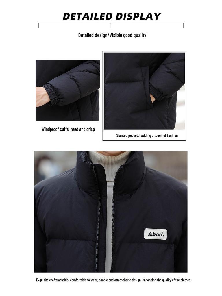 Men's 2025 Trendy Korean Style Winter Down Jacket - Lightweight, Thickened, Stand Collar Warm Outerwear