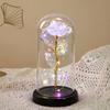 New immortal flower transparent gold foil flower glass cover, rose dust cover luminous gift desktop ornament