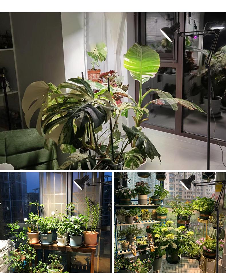 Folding Full Spectrum Floor Lamp for Plant Growth - Ideal for Succulents, Flowers, and Herbs