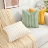 HAPIHAPPY New Faux Fur Throw Pillow Covers Winter Pillow Cover 18X18 Set of 2 Soft Plush Goose Down Pillowcase Fuzzy Home Pillow