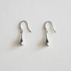 MERRYMOTIVE Waterdrop Pendant Earring