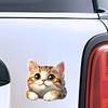 Funny Cat Car Sticker Vinyl Decal Waterproof Rear Window Motorcycle Camper Bumper Truck Laptop Decoration Y22