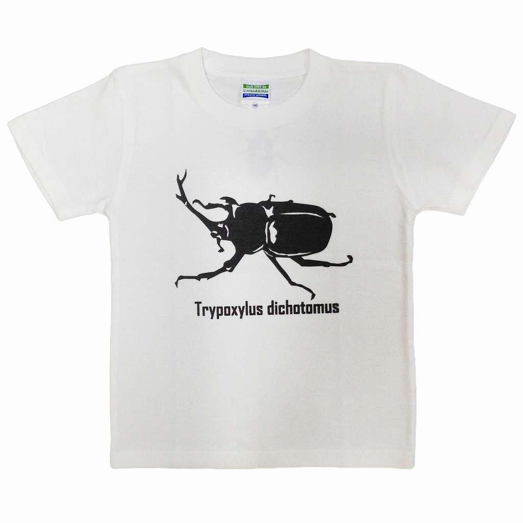 

Edoten Kids Boys Stag Beetle T-Shirt, White, 110cm
