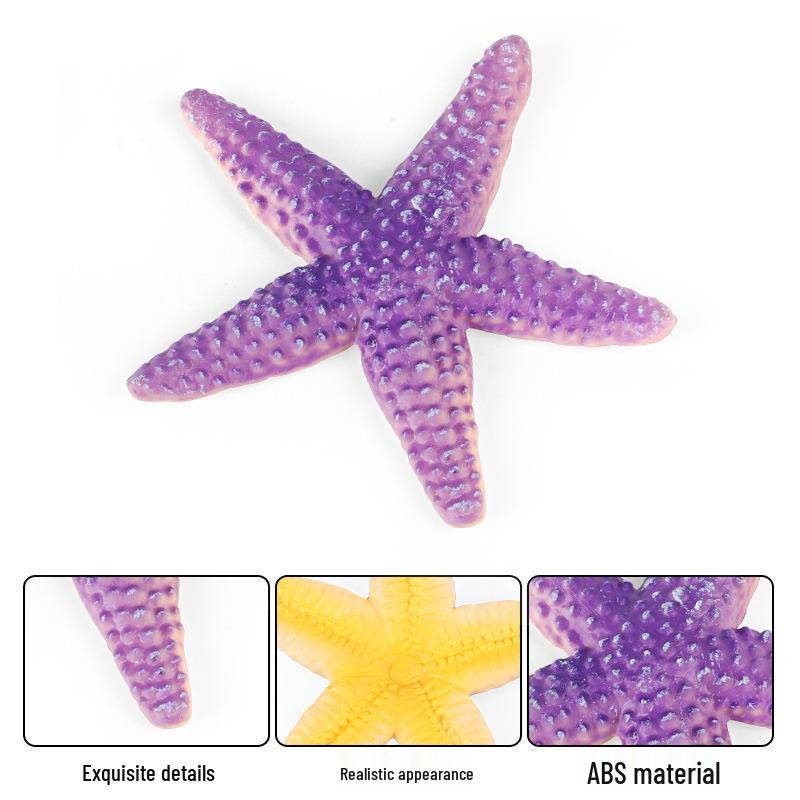 Starfish Model: Educational Sea Creature Toy & Fish Tank Decoration