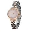 SURVAN Women's Watch Waterproof Quartz Analog Watch with Second Hand White