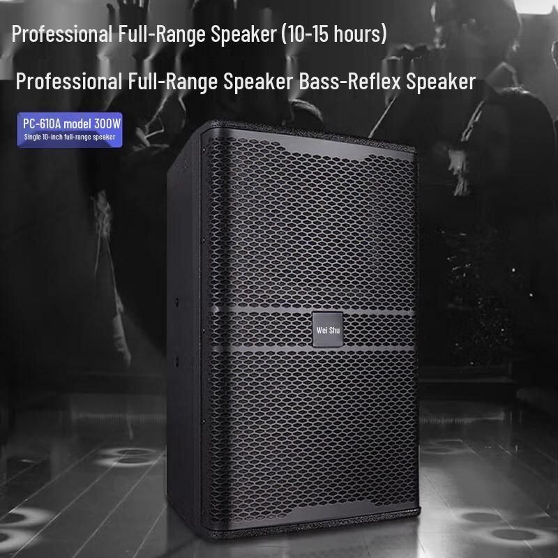 Weishu 10-inch Professional Passive Full-range Speaker