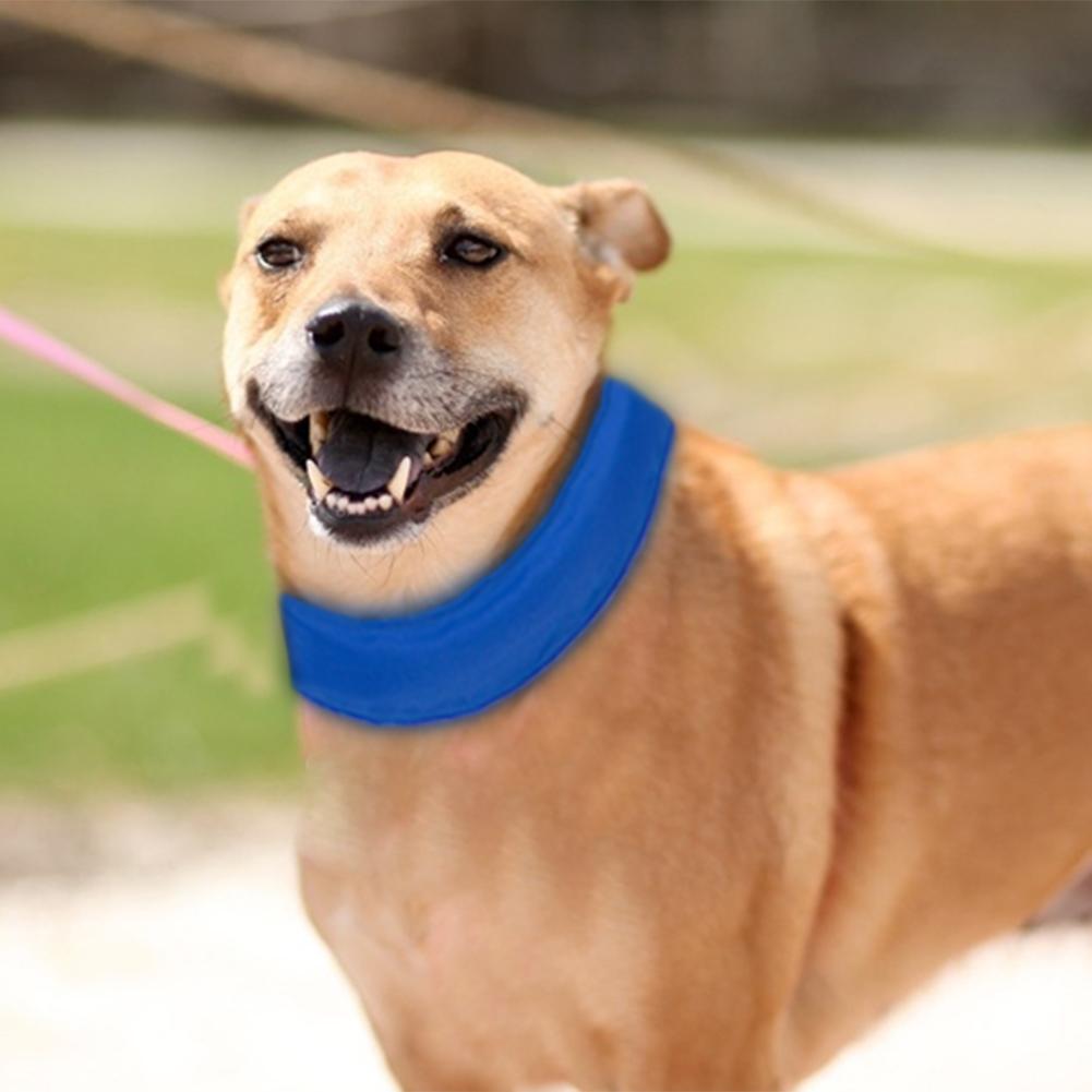 cooling wrap for dogs