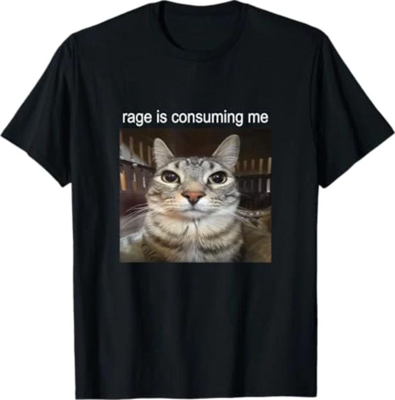 Rage is Consuming Me Silly Staring Cat Meme T-Shirt XL