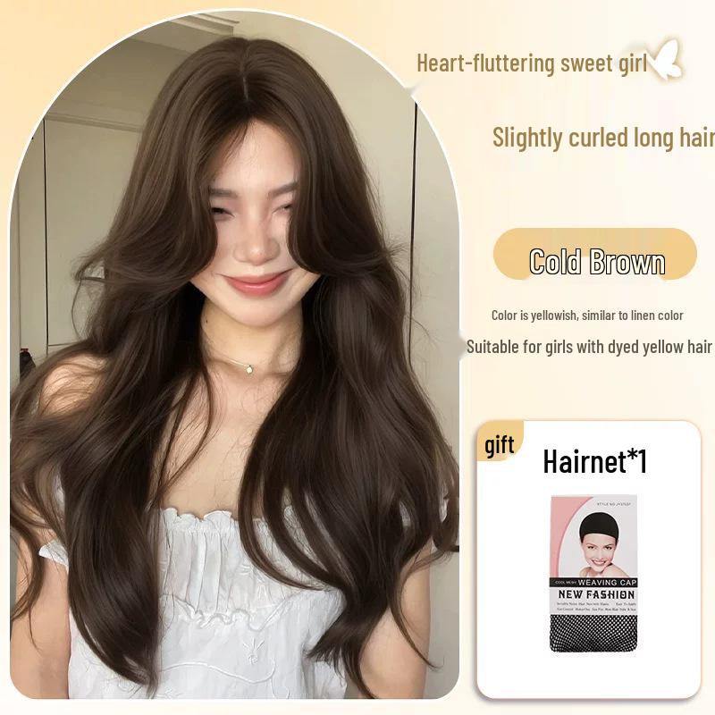 Women's Long Curly Lace Front Wig, Middle Part, Fluffy Daily Wear