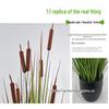 Oriental Cattail Artificial Plant for Yard and Garden Decor