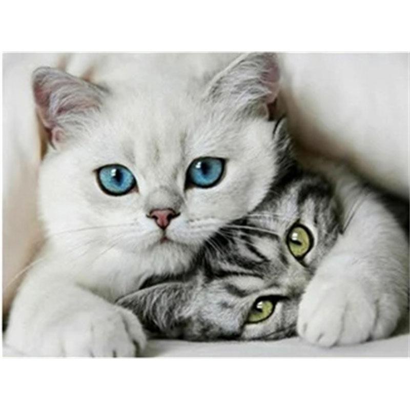 DIY Diamond Painting Kitten Cross Stitch Kit Mosaic Art Diamond Painting Full Circle/Square Diamond Home Decoration