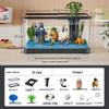 Goldfish Tank Desktop Aquarium with Filtration, Oxygenation, and Lid - Ecological Landscaping All-in-One for Living Room Household Use.