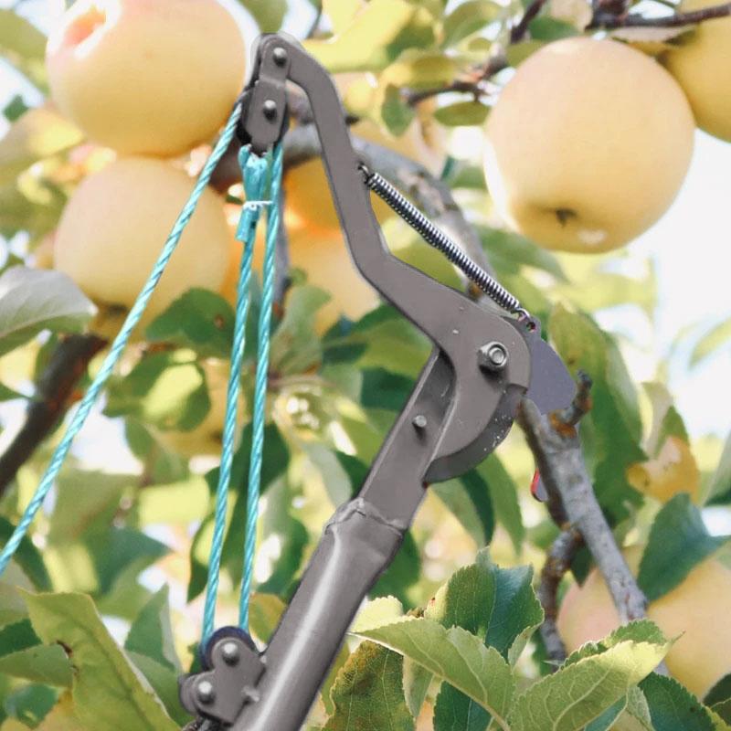 1 Pezzo Cesoia Estensibile ad Alta Quota Forbici per Rami Seghetto Estensibile per Potatura Alberi da Frutto Tagliaerba Strumento per Giardinaggio con Corda