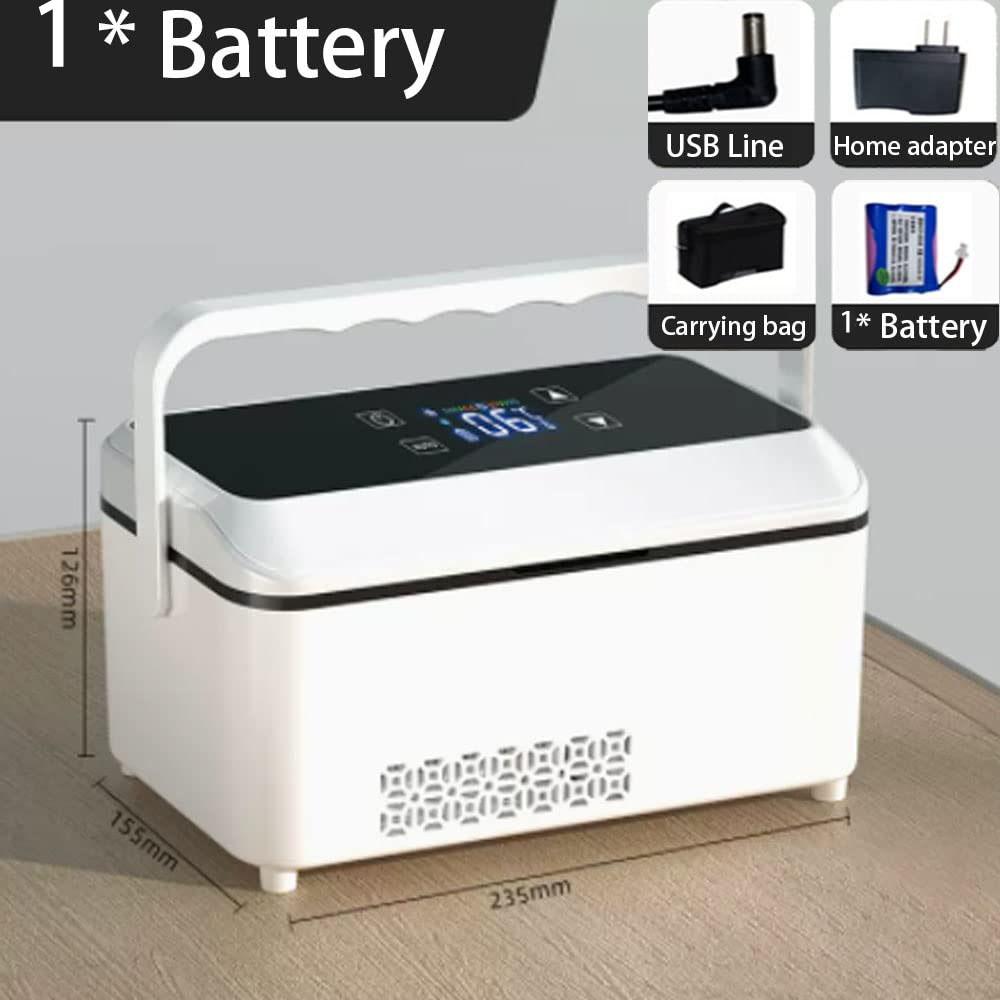 Insulated Temperature Control Cooler Case, Smart 2-8°C Constant Cooling Portable Travel Storage Box with Intelligent Refrigeration for Personal Items