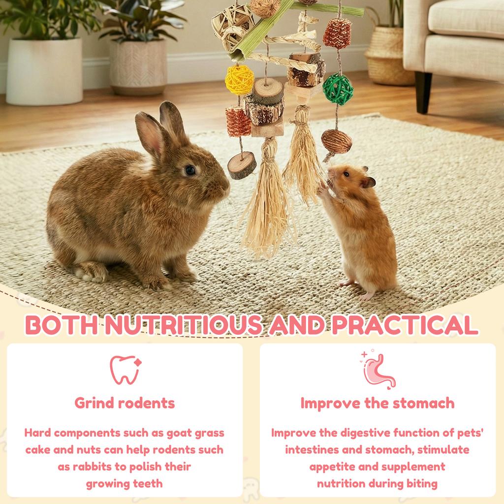 2Pcs Rabbit Chew Toy Hanging Small Pet Chew Toy Pet Cage Accessory Pet Supplies for Guinea Pig Chinchilla Hamster Teeth Grinding