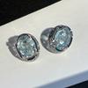Silver Needle, Blue Crystal, Unique Design, Large Earrings for Women with High-end and High-end Feel, Niche Earrings and Earrings, New Style