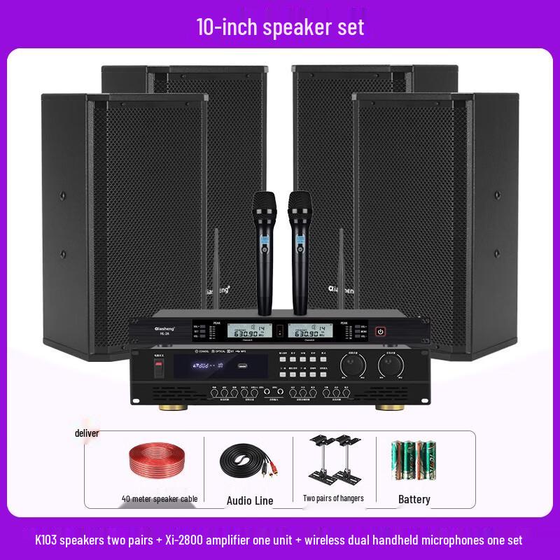 QIASHENG Professional Conference Room & Stage Audio System CN plug (adapter included)