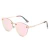 Polarsky Exclusive Sunglasses