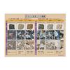 Oherikosha Mini Specimen 6 Types of Igneous Rock Specimens Series (Polished Plate)
