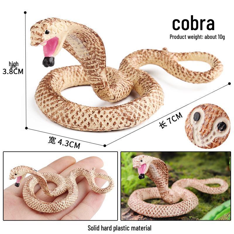 Cross-border Cognitive Animal Figurines: Opossum, Hedgehog, Raccoon, Lizard, Chameleon