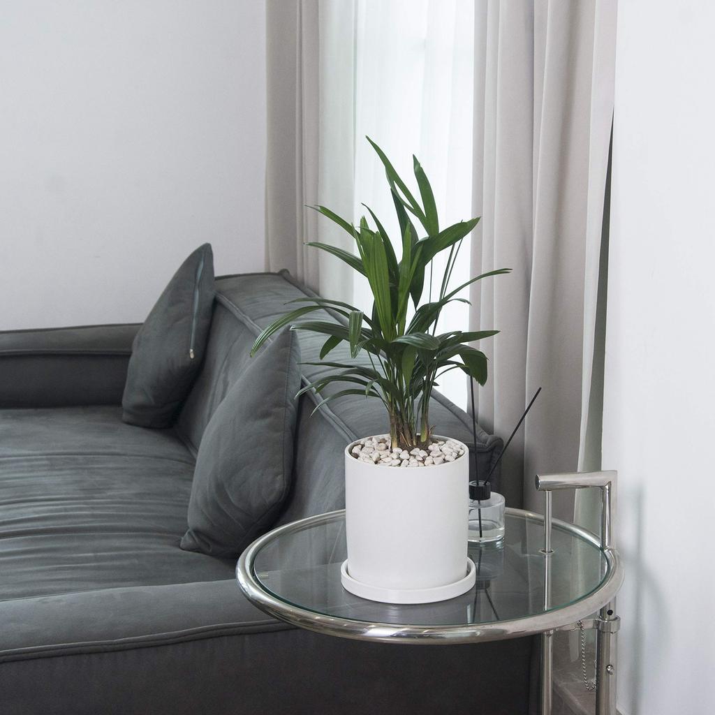 Ekirlin Flower Ceramic Saucer Drain Pure Potted Interior Pot, Pot, White, Stylish, Included, Hole, 15.7cm, No. 6, Color, Houseplant, Pot, Planter,