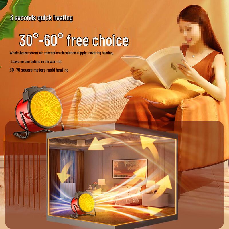 FengZhi Electric Fan Heater