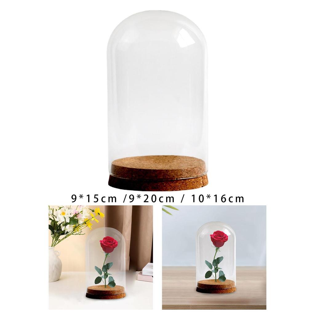 DIY Glass Dome Cloche Holder for Microlandscape and Home Display