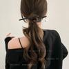 Elegant Retro Tassel Hairpin for Hanfu Updo - Women's Chinese Style Metal Hair Clip