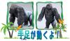Ania Gorilla AS-09
