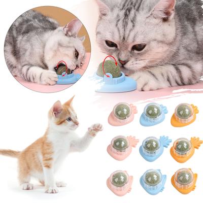 Toys For Cats Lick, Safe Healthy Cat Chew Toys, Teeth Cleaning Cat Toys, Cat Wall Treats