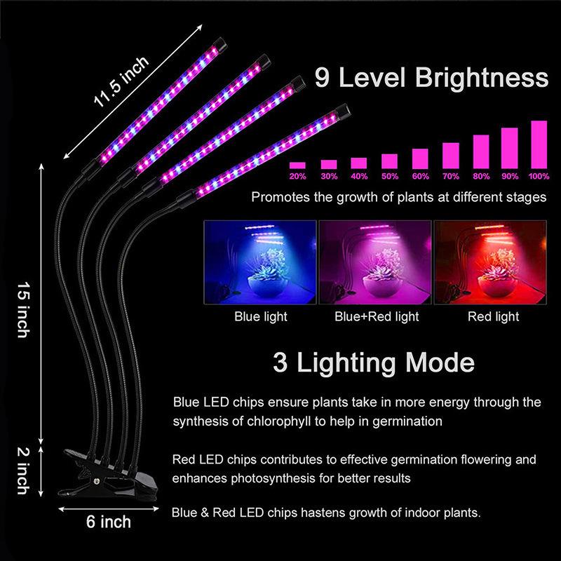 Full Spectrum LED Grow Light with Timer for Succulents, Flowers, and Seedlings