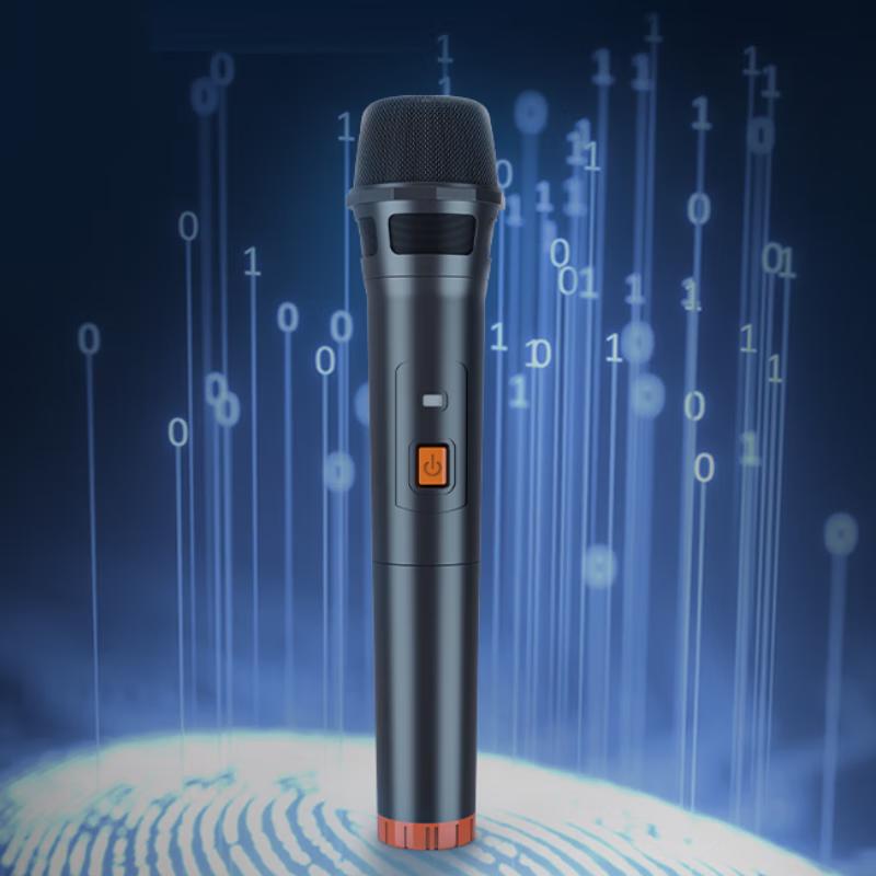 Philips Bluetooth Outdoor Trolley Speaker with Mic SD169 CN plug (adapter included)