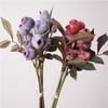 Handmade Artificial Eucalyptus Berries Plastic Foliage Green Plants Realistic Fake Fruit Real Touch Simulation Gum-nut