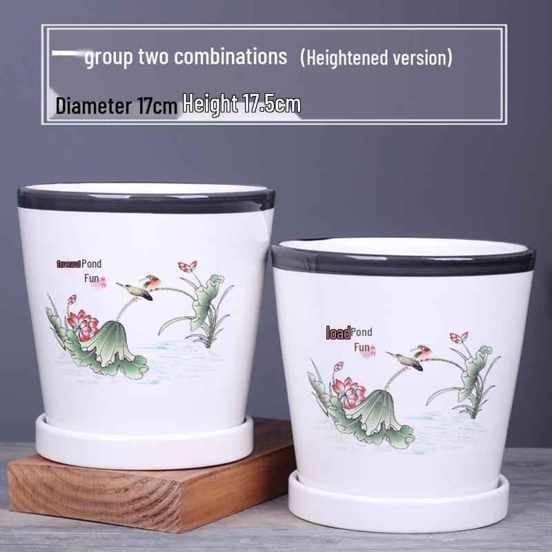 2025 Large Ceramic Flower Pot with Tray for Balcony & Living Room - Orchid & Succulent Album Style