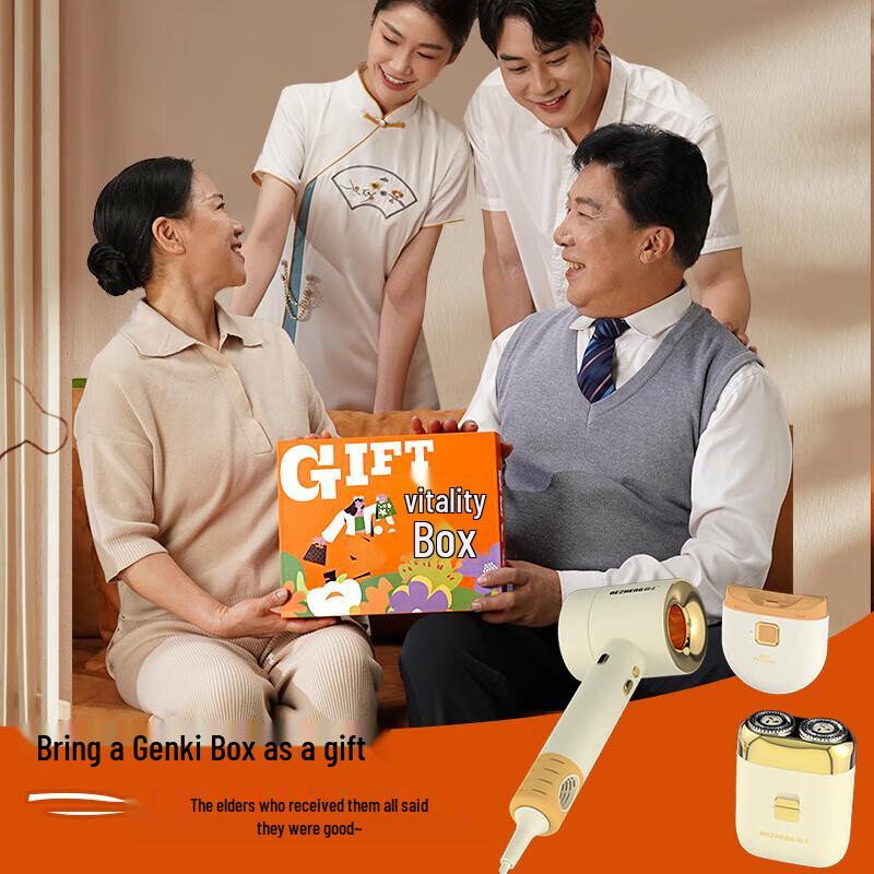 Hezheng Vitality Head Massager Gift Box