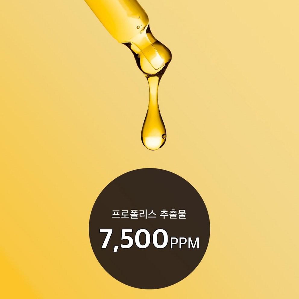 [GREENLOG] Propolis Ampoule for Acne and Soothing Serum, 12ml