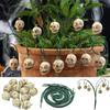 Jardinagem e paisagismo – Decoração de jardim