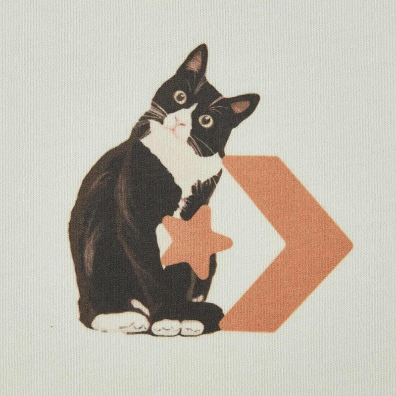 New Converse T Shirts Women's Ecru WCH662-W2Y