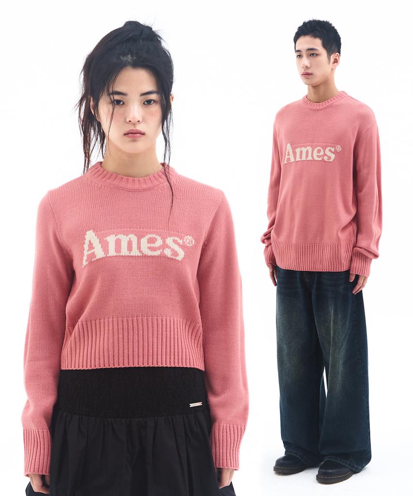 AMES-WORLDWIDE Basic Pullover Knit Pink