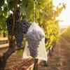 Fruit Safe Non Woven Plant Bags Prevent Insect and Bird Damage Long Lasting Solution